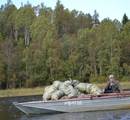 Экологи собрали более 120 мешков мусора на берегах Ладожского озера