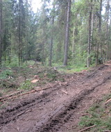 Комитет по природным ресурсам Ленобласти забыл об охранной зоне озера Ястребиное